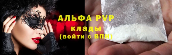 дживик Вязьма